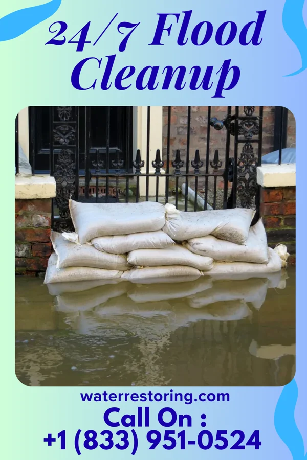 24/7 Flood Cleanup in Elliott, IL