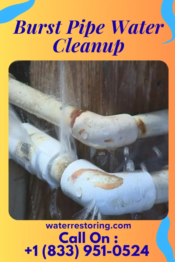 Burst Pipe Water Cleanup in Elliott, IL