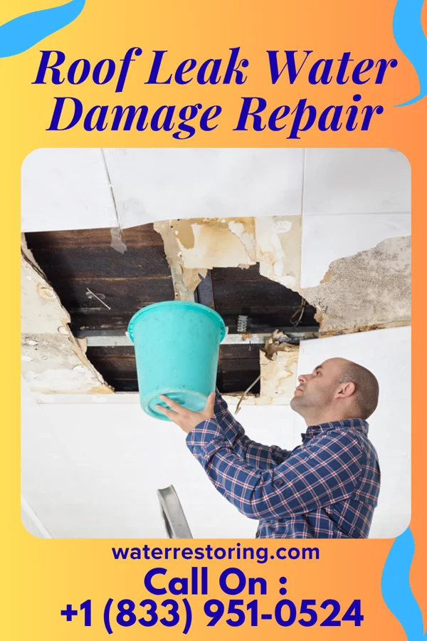 Roof Leak Water Damage Repair in Elliott, IL