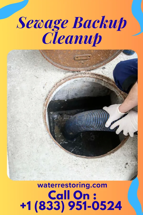 Sewage Backup Cleanup in Elliott, IL